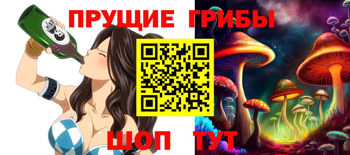 Псилоцибиновые грибы прущие грибы Малоярославец