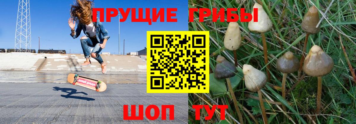 Малоярославец  Псилоцибиновые грибы мицелий  Вход с VPN 